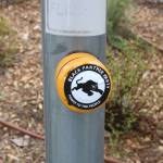The Black Panther Party sticker on the crosswalk button near the main entrance to the park. Photo by Bailey Jo Josie/Sound Publishing