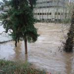 The Cedar River at the Renton Library on Thursday morning, Dec. 11, 2025. Photo by Bailey Jo Josie/Sound Publishing.