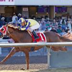 Silvio Amador rides Si That Tiger at Emerald Downs. COURTESY PHOTO, Vince Bruun/ Emerald Downs