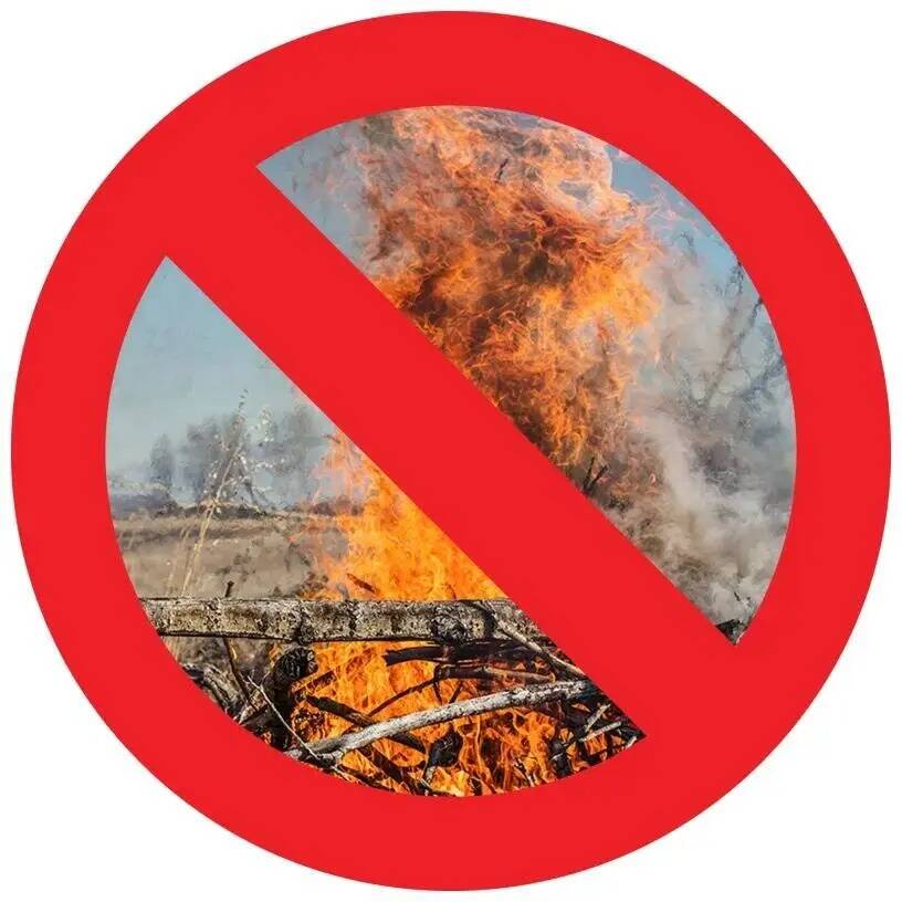 Image courtesy King County